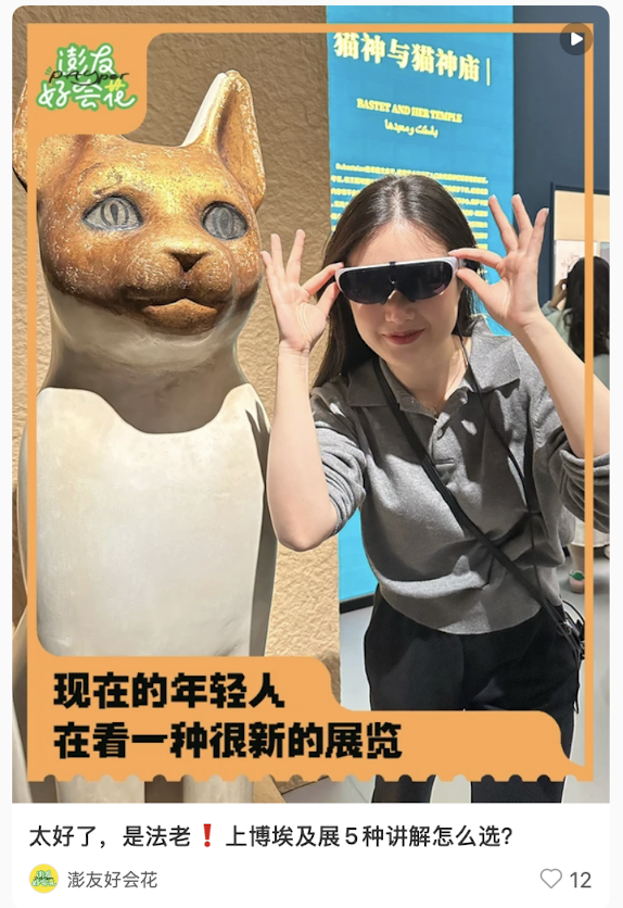 上博埃及展五种讲解怎么选小红书视频截图